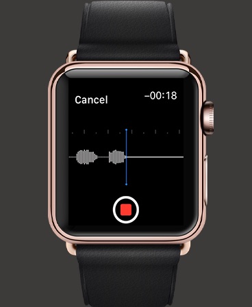 Apple Watch screenshot