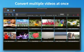 video converter for music iphone images 1