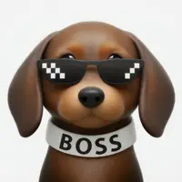 GCSE Boss