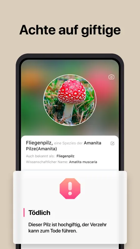 Picture Mushroom: Identifier screenshot 3 of 5