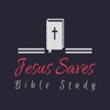 Bible Study Daily icon