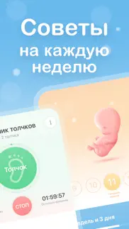 Моя беременность - Календарь айфон картинки 2