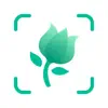 Product details of PictureThis - Plant Identifier