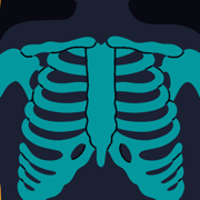 First FRCR Anatomy