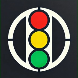 DriveSafe Pro