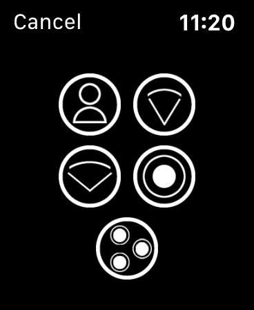 Apple Watch screenshot