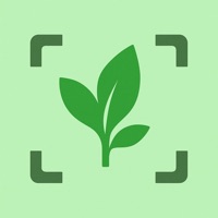 Plant AI: Identifier & Care