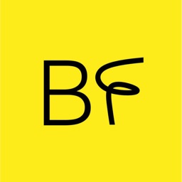 Battflit
