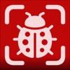 Bug Identifier : BugVision icon