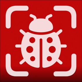 Bug Identifier : BugVision