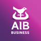 AIB Business (iBB)