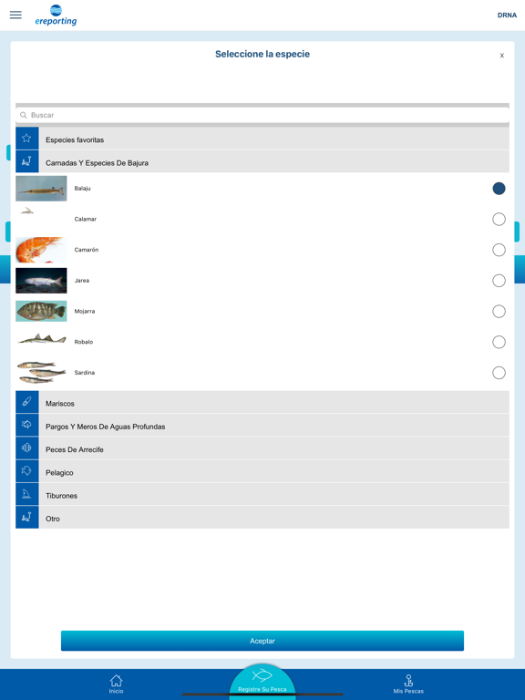eReporting iPad screenshot