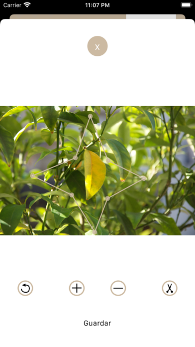 Screenshot #2 pour Simple Cut - Recadrage