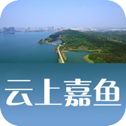 云上嘉鱼