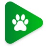 Animal Game - POSCHOLARS icon