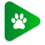 Get Animal Game - POSCHOLARS for iOS, iPhone, iPad Aso Report