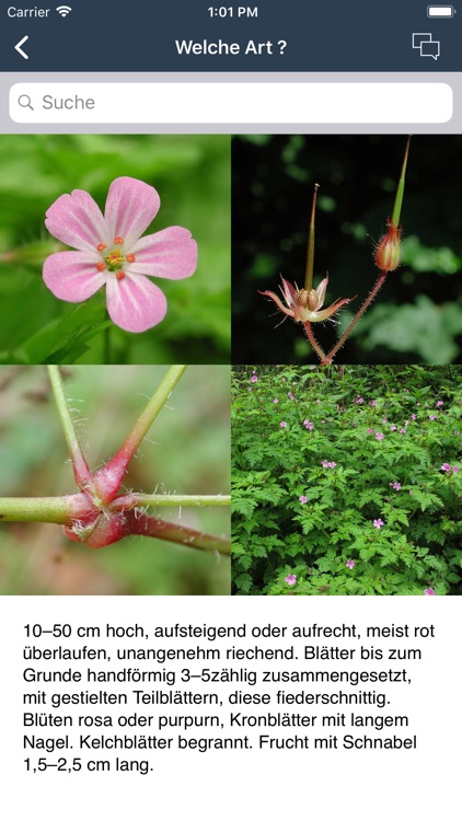 Feldbotanik screenshot-4