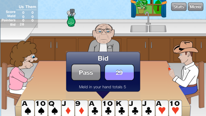 Pinochle Pro Screenshot