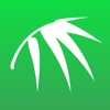 Bamboo Online