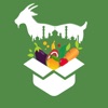 Fresh Box App icon