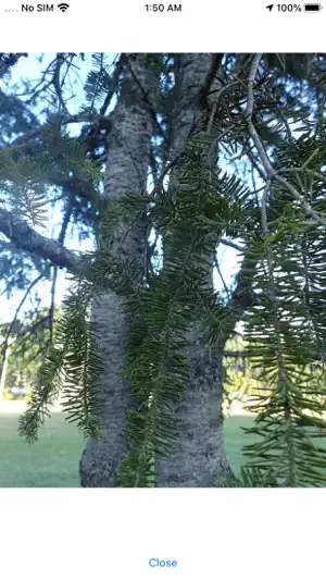 WCUTrees screenshot 4
