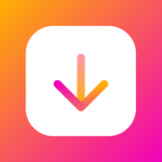 InstSave Instagram Video Saver