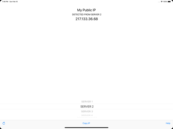 Screenshot #5 pour My Public IP