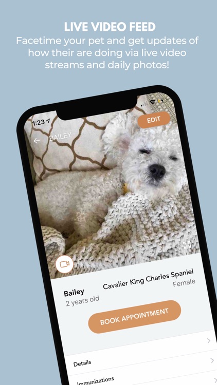 Paw Palace screenshot-4