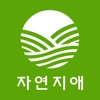 jayeonjiae icon