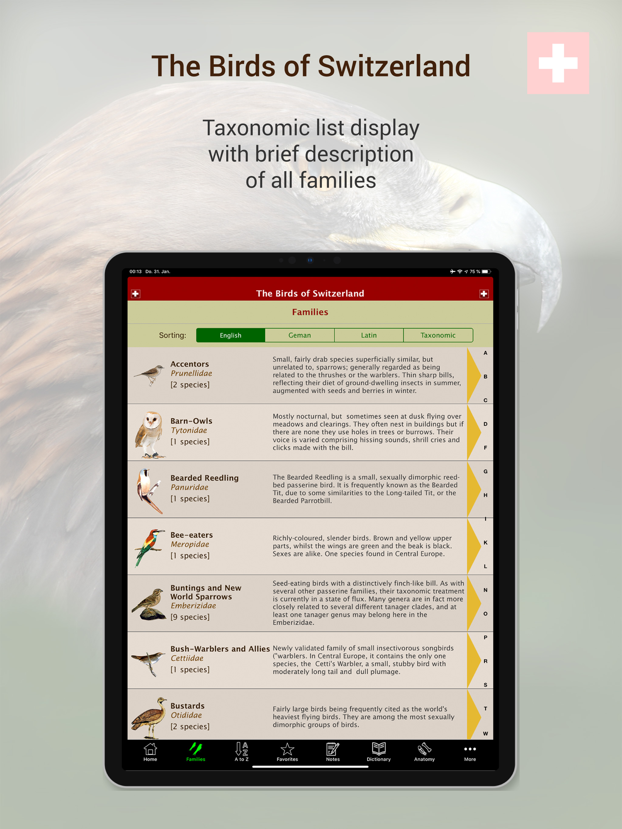 The Birds of Switzerland screenshot 7