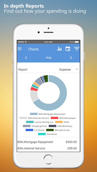 BankTree Personal Finance Screenshot