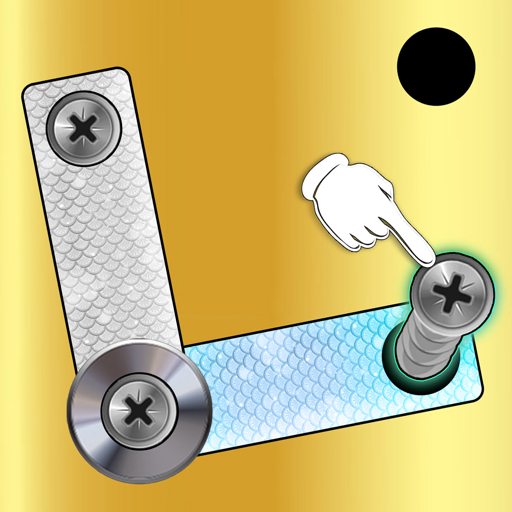 Screw Puzzle Bolts and Nuts