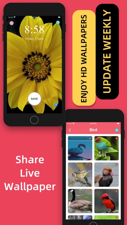 Live Wallpaper Supreme