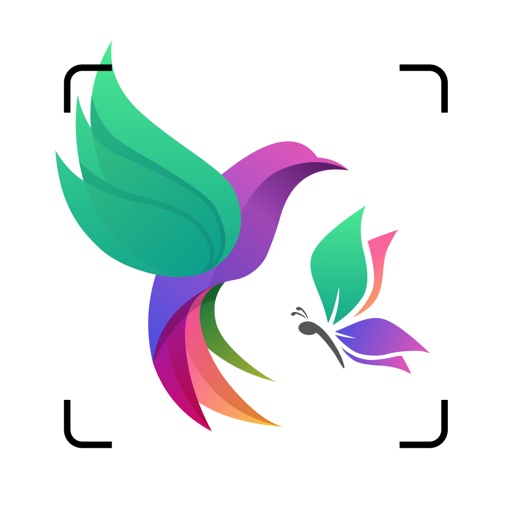 Bird Identifier By Sound ID iOS App