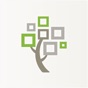 FamilySearch Tree app download