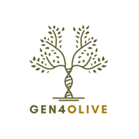 GEN4OLIVE