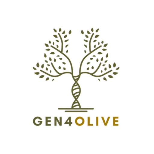 GEN4OLIVE
