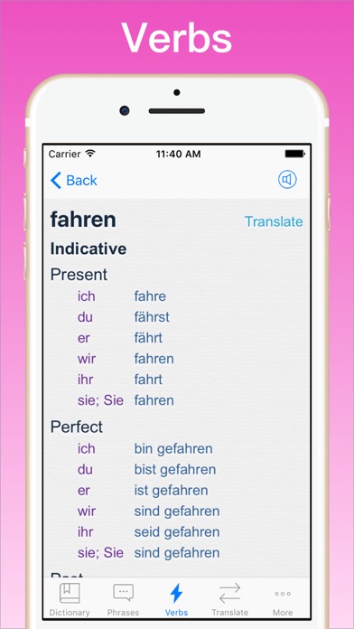 German Translator Dictionary + のスクリーンショット
