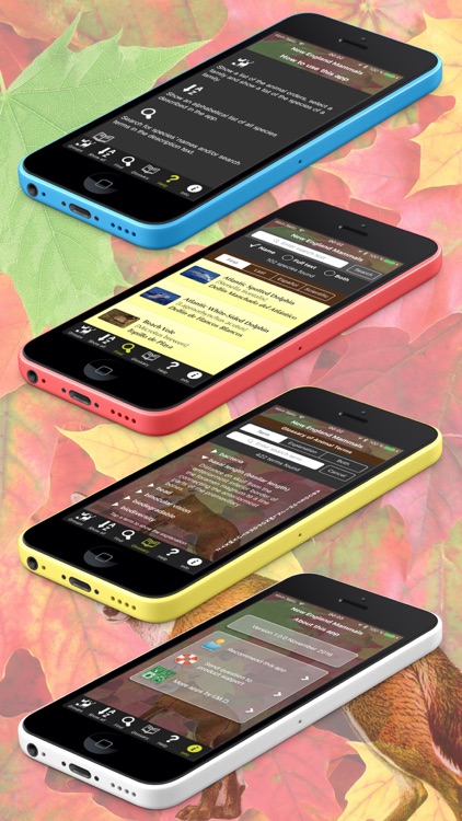 New England Mammals screenshot-4