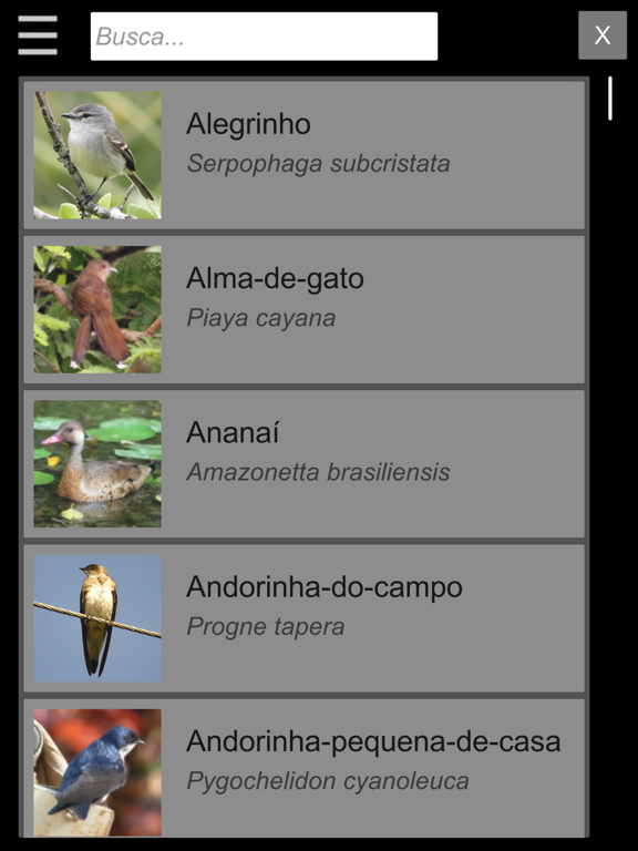 Screenshot #6 pour Guia Aves da Região Bragantina