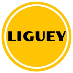 螢幕擷取畫面 (4) Liguey