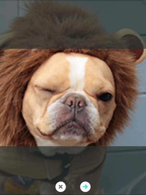 Zoom, Enhance! iPad screenshot 2 - Utilities app