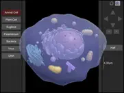 3d virtual cell ipad images 1
