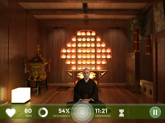 Zen Journey by Wild Divine iPad screenshot