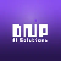 DNP Finance