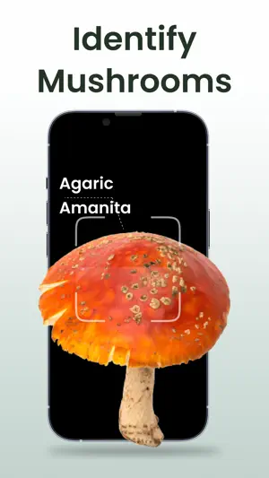Plant Identifier: Plantiary screenshot 2