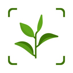 Mes plantes: soins et maladies
