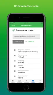 ТНС Энерго айфон картинки 3