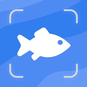 Fish Identifier By Picture: ID