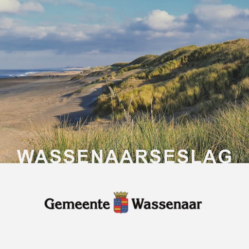 Wassenaarse Slag